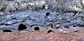 Kilauea Abstracts 003 Copyright Villayat Sunkmanitu
